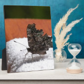 Dark Camouflage Butterfly Fotoplatte (Seite)