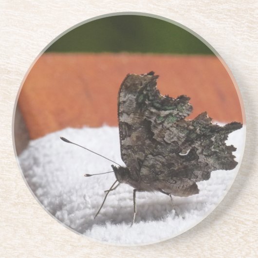 Dark Camouflage Butterfly Getränkeuntersetzer (Vorne)