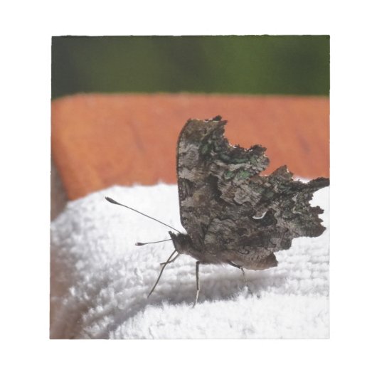 Dark Camouflage Butterfly Notizblock (Vorderseite)