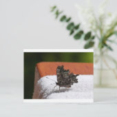 Dark Camouflage Butterfly Postkarte (Stehend Vorderseite)