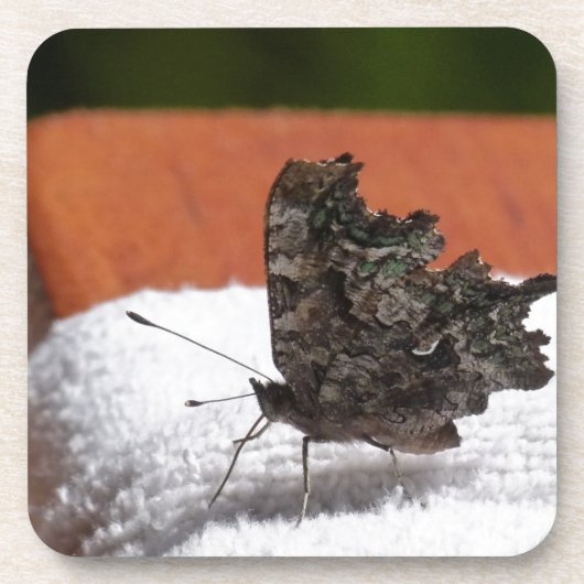 Dark Camouflage Butterfly Untersetzer (Vorderseite)