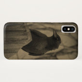 Dark Crow Case-Mate iPhone Hülle (Rückseite (Horizontal))