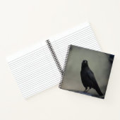 Dark Crow Notizblock (Innenseite)