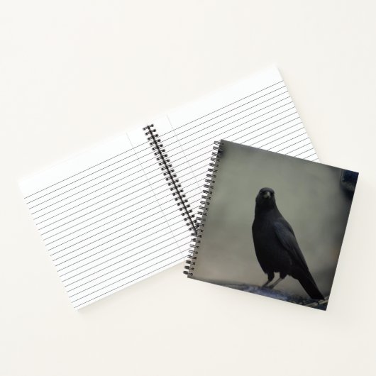 Dark Crow Notizblock (Innenseite)