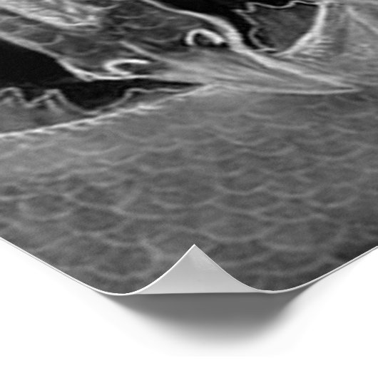 Dark Dragon Poster (Ecke)