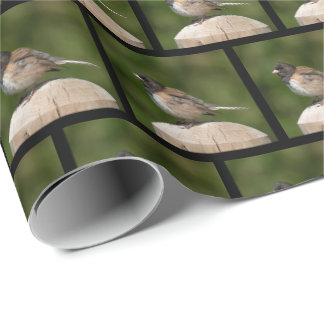 Dark-eyed Junco - Fine Art Vogel Fotografie Geschenkpapier