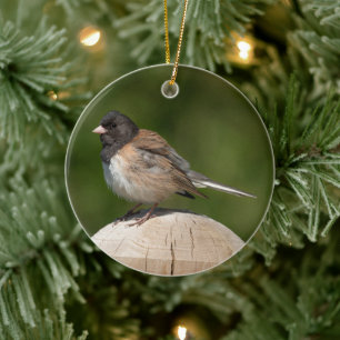 Dark-eyed Junco-Geschenk Keramik Ornament