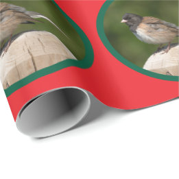 Dark-eyed Junco Holiday Geschenkpapier