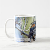 Dark-eyed Junco Psalm 62:5 Kaffeetasse (Links)