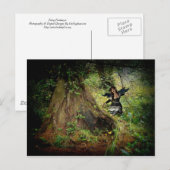 Dark Forest Fey Postkarte (Vorne/Hinten)