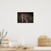 Dark Forest – Haunting Black and White Tree Art Poster (Küche)