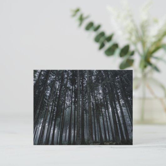 Dark Forest Log Tree Mood Postcard Postkarte (Stehend Vorderseite)