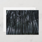 Dark Forest Log Tree Mood Postcard Postkarte (Vorne/Hinten)