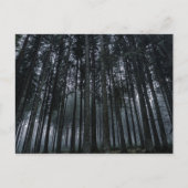 Dark Forest Log Tree Mood Postcard Postkarte (Vorderseite)