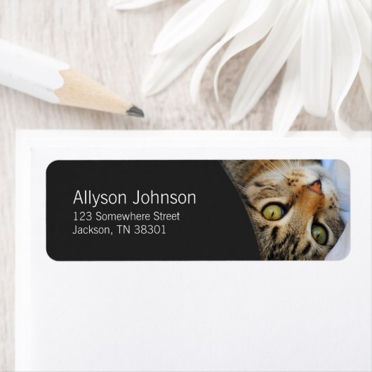 Dark Gray & Tabby Cat Address Labels (Insitu)