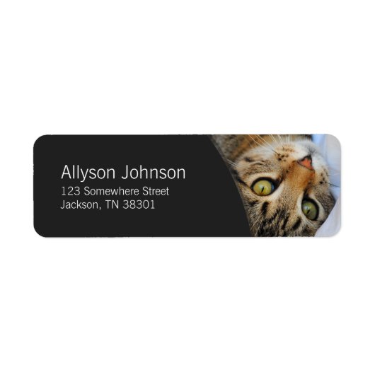 Dark Gray & Tabby Cat Address Labels (Vorne)