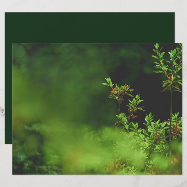 Dark green forest Scrapbook Paper (Vorne/Hinten)