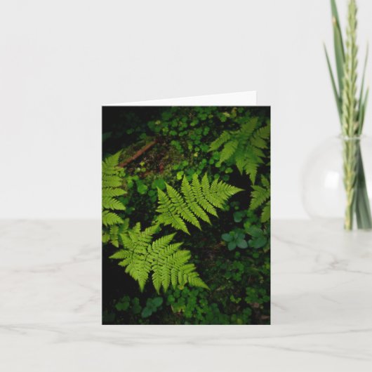 Dark green moody nature theme with ferns karte (Vorderseite)
