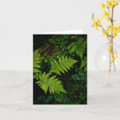Dark green moody nature theme with ferns karte (Gelbe Blume)