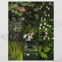 Dark Green Nature Core Scrapbooking Paper