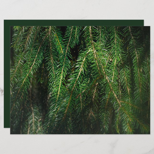 Dark green spruce tree, winter Scrapbook Paper (Vorne/Hinten)