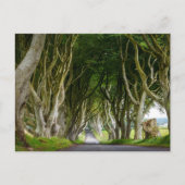 Dark Hedges in Irland Postkarte (Vorderseite)