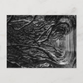 Dark Hedges Irland Postkarte (Vorderseite)