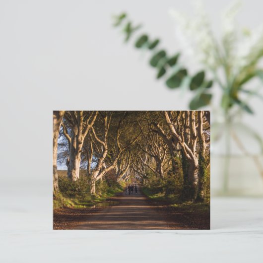 Dark Hedges Irland Postkarte (Stehend Vorderseite)
