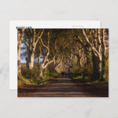 Dark Hedges Irland Postkarte (Vorne/Hinten)