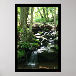 Dark Hollow Falls Print #4836 Poster