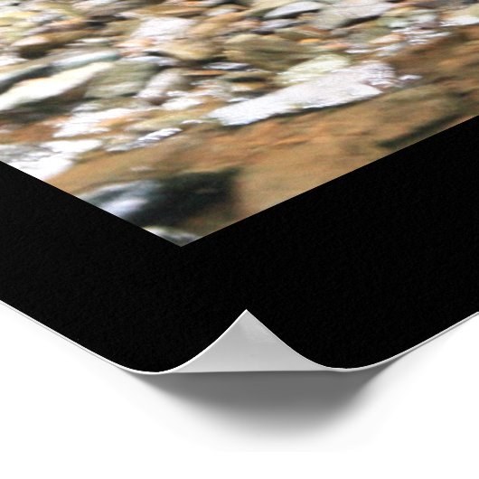 Dark Hollow Falls Print #4838 Poster (Ecke)