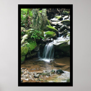 Dark Hollow Falls Print #4838 Poster