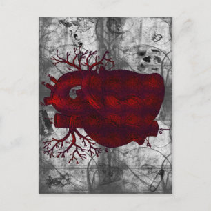 Dark Human Heart Postcard Postkarte