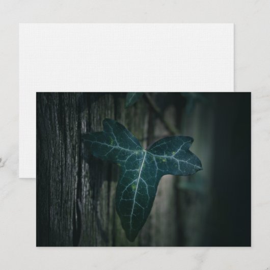 Dark Ivy Leaf Nature Foto Card (Vorne/Hinten)