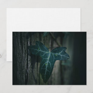 Dark Ivy Leaf Nature Foto Card