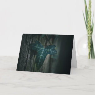 Dark Ivy Leaf Nature Foto Karte