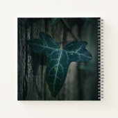 Dark Ivy Leaf Nature Foto Notizblock (Rückseite)
