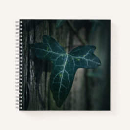Dark Ivy Leaf Nature Foto Notizblock