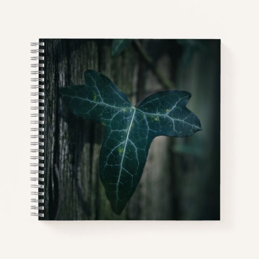 Dark Ivy Leaf Nature Foto Notizblock (Vorderseite)