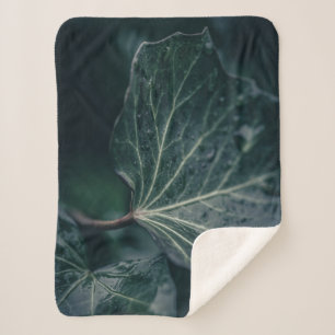 Dark Ivy Leaf Naturfotografie Sherpadecke