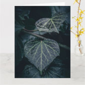 Dark Ivy Nature Foto Karte (Gelbe Blume)