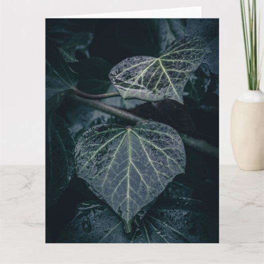 Dark Ivy Nature Foto Karte (Vorderseite)