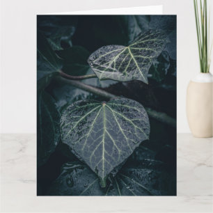 Dark Ivy Nature Foto Karte