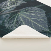 Dark Ivy Nature Fotografy Sherpadecke (3/4)