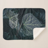 Dark Ivy Nature Fotografy Sherpadecke (Vorderseite (Horizontal))