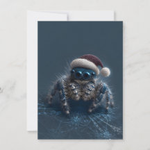 Dark Jumping Spider Christmas Cards