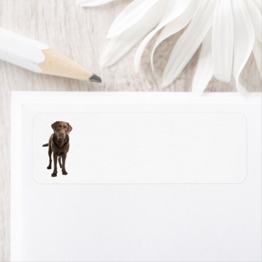 Dark Labrador Address Label (Insitu)