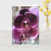 Dark Lila Moth Orchids Karte (Gelbe Blume)