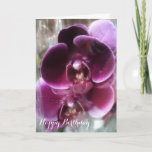 Dark Lila Moth Orchids Karte<br><div class="desc">Zwei schöne, vollständig offene, dunkle lila Phalaenopsis, Mottenorchideen mit Happy Birthday Text. Einfach mit Ihrem eigenen Text anpassen. Alle Textstile, Farben, Größen können an Ihre Bedürfnisse angepasst werden. Klicken Sie auf den Knopf "IT KENNEN", um den Text zu ändern, falls Sie ihn benötigen, und wählen Sie Ihren bevorzugten Schriftart aus....</div>