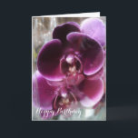 Dark Lila Moth Orchids Karte<br><div class="desc">Zwei schöne, vollständig offene, dunkle lila Phalaenopsis, Mottenorchideen mit Happy Birthday Text. Einfach mit Ihrem eigenen Text anpassen. Alle Textstile, Farben, Größen können an Ihre Bedürfnisse angepasst werden. Klicken Sie auf den Knopf "IT KENNEN", um den Text zu ändern, falls Sie ihn benötigen, und wählen Sie Ihren bevorzugten Schriftart aus....</div>